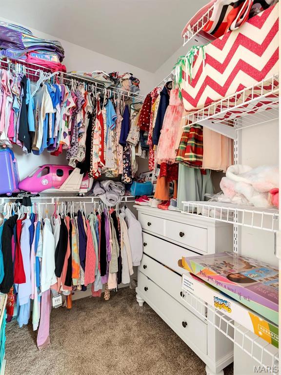 535 Vista Hills Ct, Eureka, MO 63025 - walk in closet with carpet