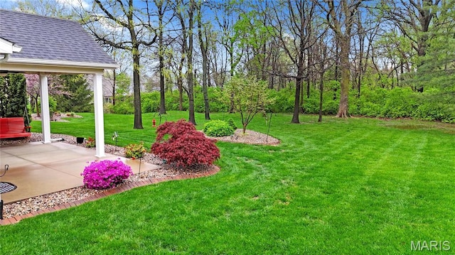 view of green lawn with a patio