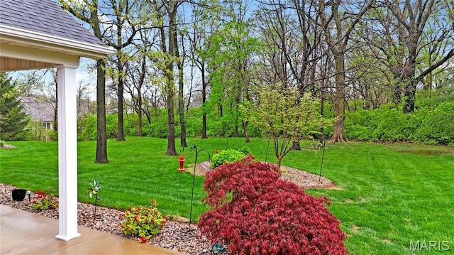 view of grassy yard