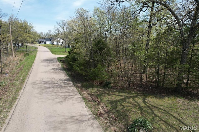 375 Rue Lamande, Bonne Terre, MO 63628