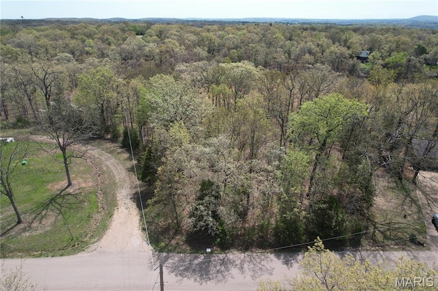 375 Rue Lamande, Bonne Terre, MO 63628