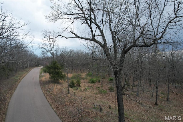 375 Rue Lamande, Bonne Terre, MO 63628