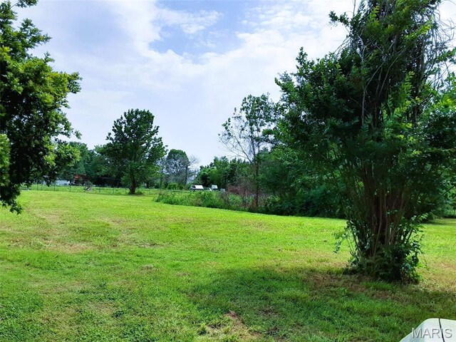 305 N Madison St N, Morehouse, MO 63868 - photo 4