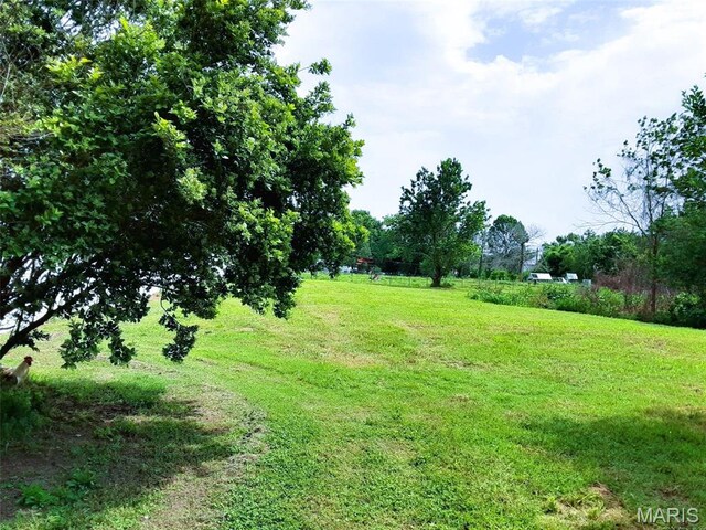 305 N Madison St N, Morehouse, MO 63868 - photo 5