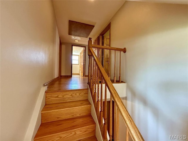 stairway with wood finished floors and baseboards