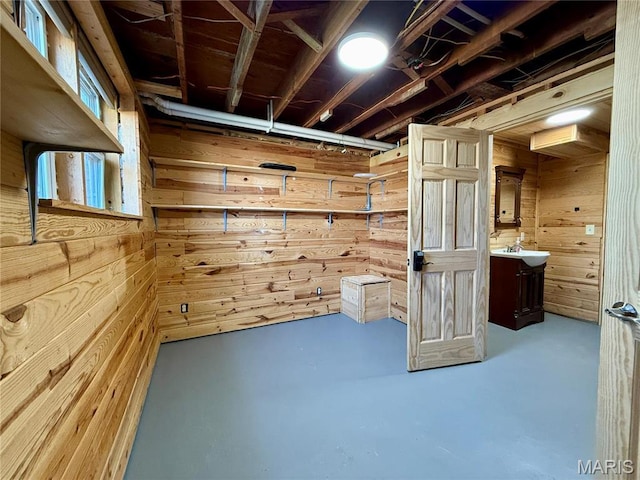 basement with wood walls