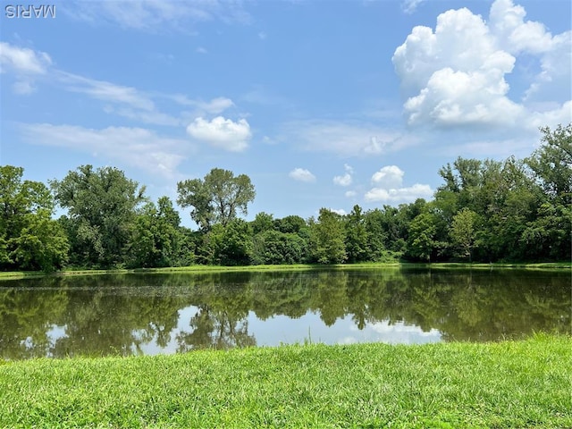 908 Half Moon Ln, Caseyville, IL 62232 - water view featuring a heavily wooded area