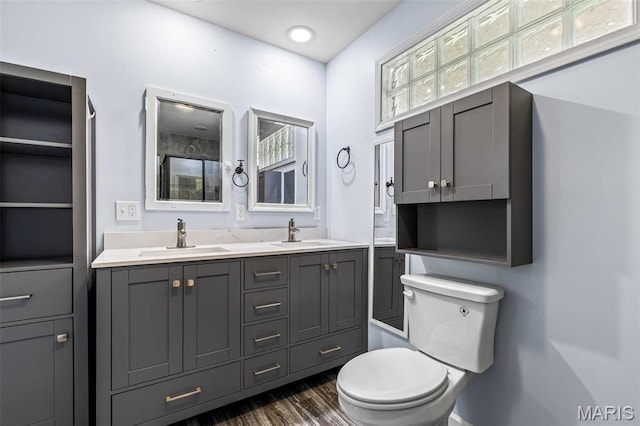 10179 Cherry Hill Ln, Potosi, MO 63664 - full bath with toilet, wood finished floors, a shower with door, and double vanity