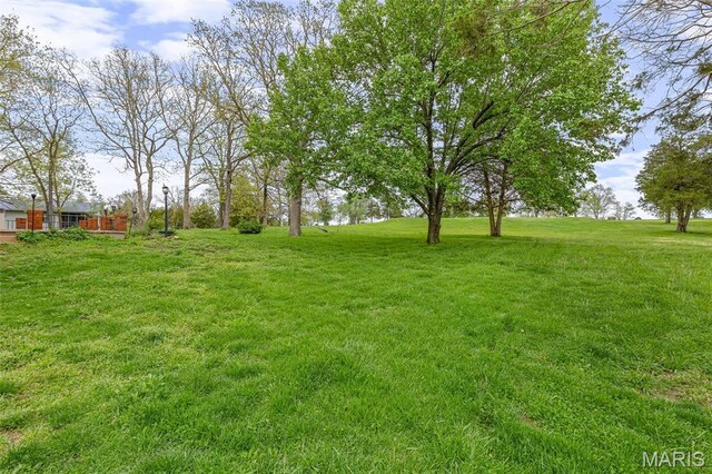 1304 Napoleon Dr, Bonne Terre, MO 63628 - view of green lawn