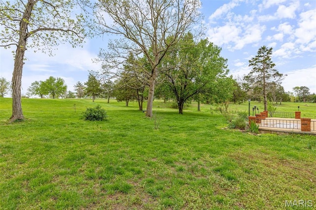 1304 Napoleon Dr, Bonne Terre, MO 63628 - view of grassy yard