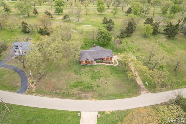 1304 Napoleon Dr, Bonne Terre, MO 63628 - view from above of property