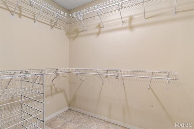 1304 Napoleon Dr, Bonne Terre, MO 63628 - view of spacious closet