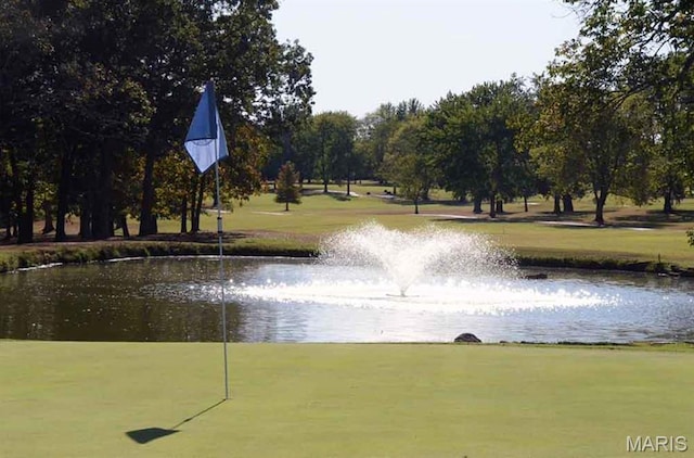 1304 Napoleon Dr, Bonne Terre, MO 63628 - view of property's community with a water view and a lawn