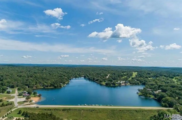 1304 Napoleon Dr, Bonne Terre, MO 63628 - aerial view of a heavily wooded area and a nearby body of water