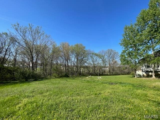 11 Summers Dr, Hawk Point, MO 63349 - view of grassy yard