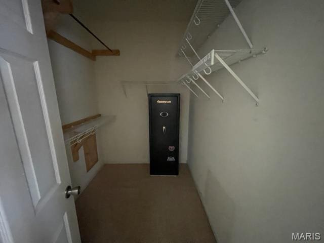 11 Summers Dr, Hawk Point, MO 63349 - walk in closet with carpet floors