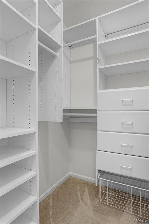 14 Berry Patch Ln, Glen Carbon, IL 62034 - spacious closet featuring carpet