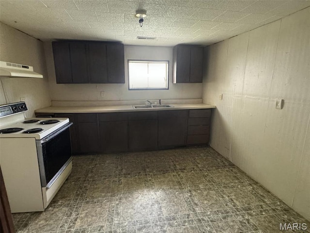 1107 Winnie St, Poplar Bluff, MO 63901 - kitchen with white electric range oven, under cabinet range hood, a sink, and light countertops