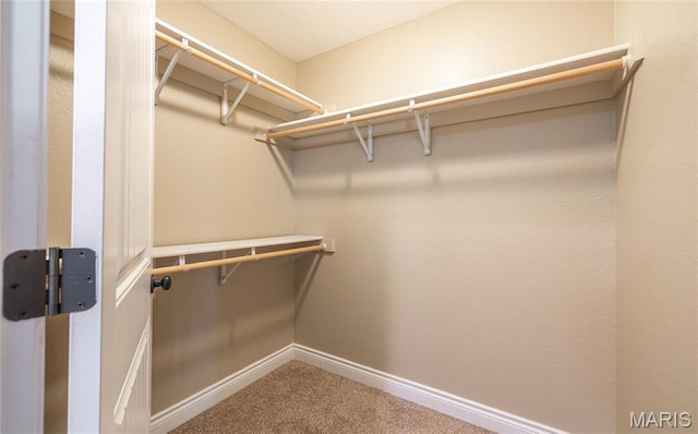 20256 Hardcastle Ln, Saint Robert, MO 65584 - walk in closet featuring carpet floors