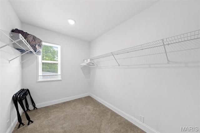 1326 Graham St, Saint Louis, MO 63139 - walk in closet with carpet floors