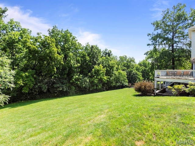 225 W Manor Dr, Chesterfield, MO 63017 - photo 60