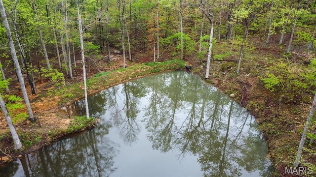 water view with a heavily wooded area