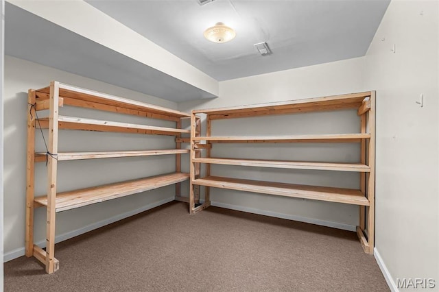 2600 Cobblestone Ct, Cape Girardeau, MO 63701 - view of storage area