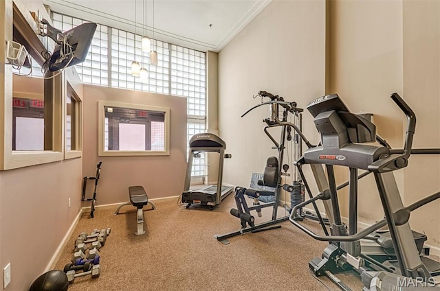901 Washington Ave Unit 411, Saint Louis, MO 63101 - workout room with baseboards, ornamental molding, and carpet floors