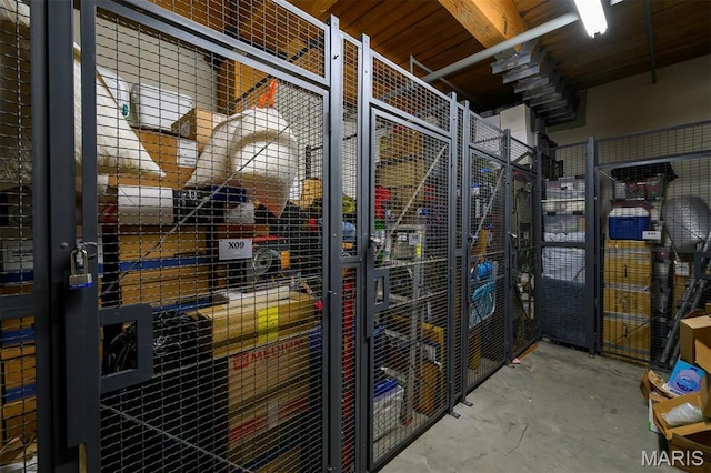 901 Washington Ave Unit 411, Saint Louis, MO 63101 - view of storage area