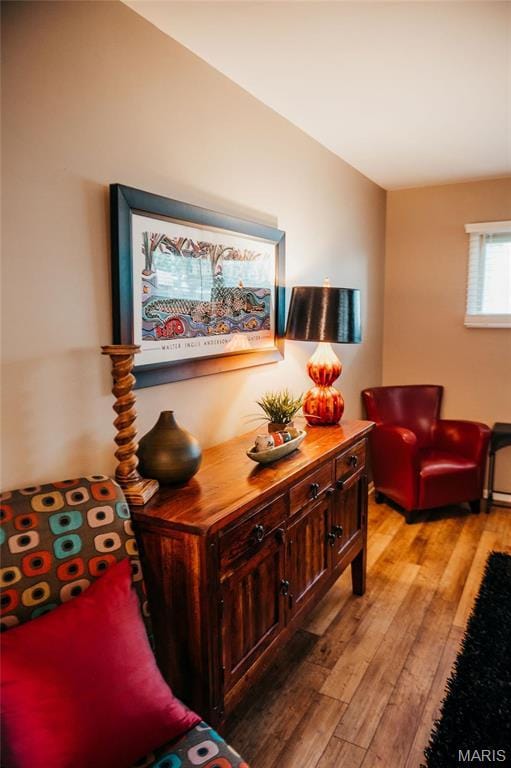 living area featuring light wood-style floors