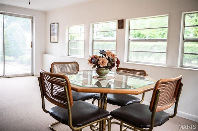 dining space featuring carpet floors