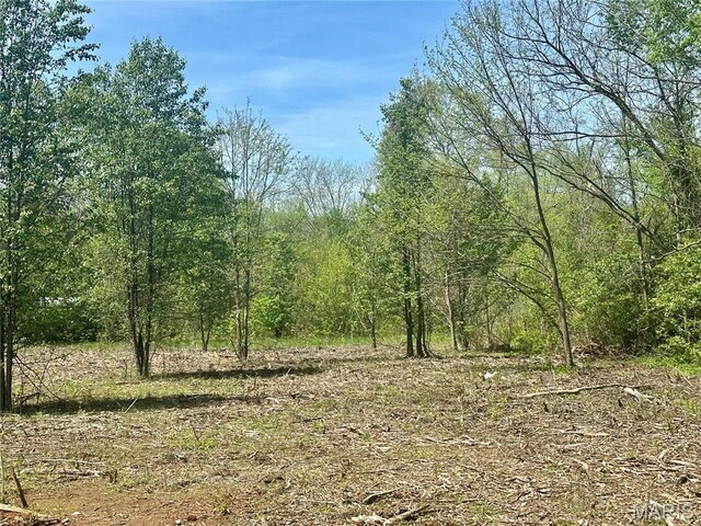 2 Potosi St, Farmington, MO 63640