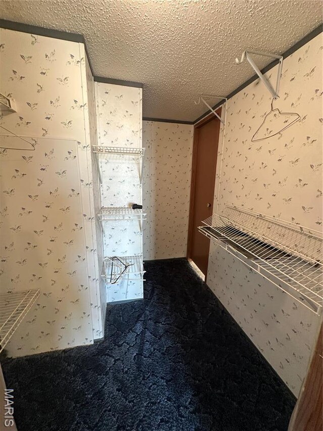 549 E Outer Rd, Sikeston, MO 63801 - view of spacious closet
