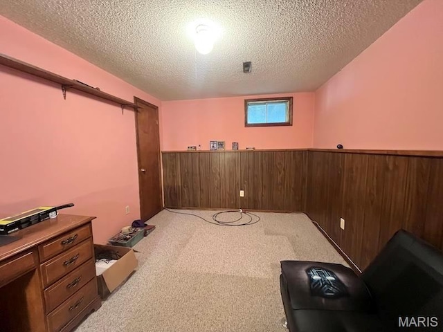 below grade area featuring a wainscoted wall, a textured ceiling, wood walls, and carpet