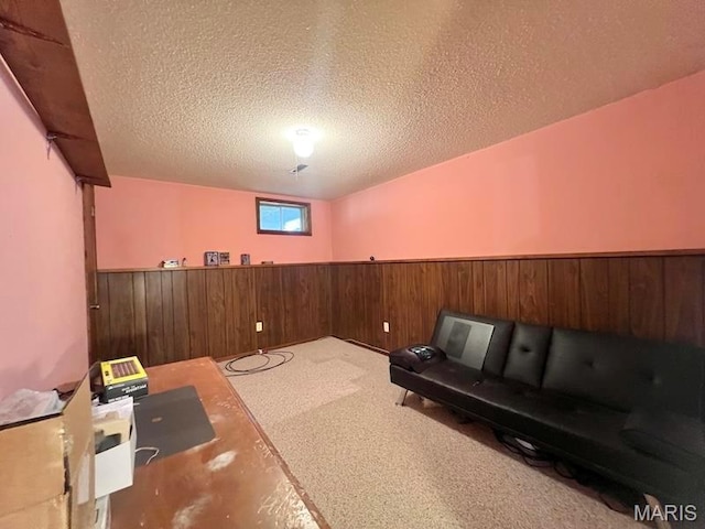workout room with wainscoting, a textured ceiling, wood walls, and carpet