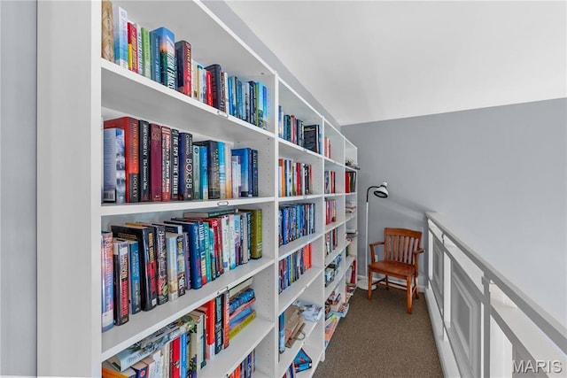 526 Sarah Ln Unit 27, Saint Louis, MO 63141 - sitting room featuring carpet flooring