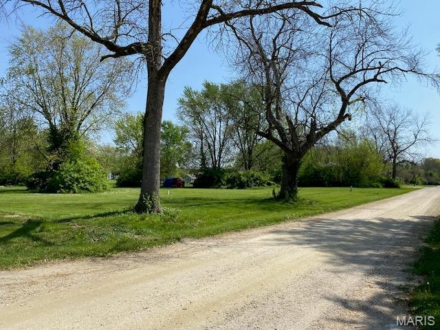 110 S Maple St, Bellflower, MO 63333 - photo 5