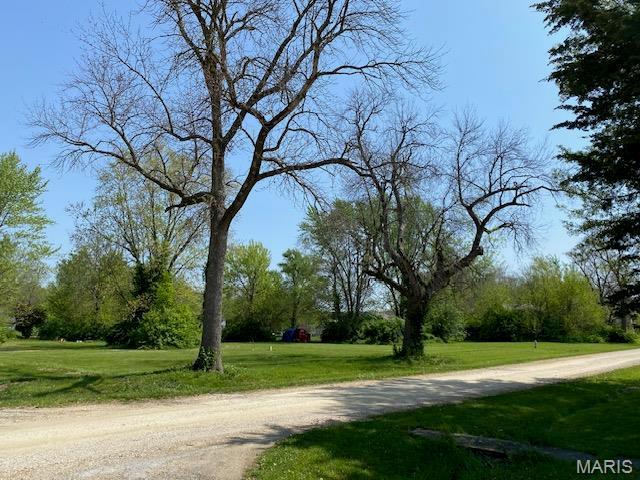 110 S Maple St, Bellflower, MO 63333 - photo 7