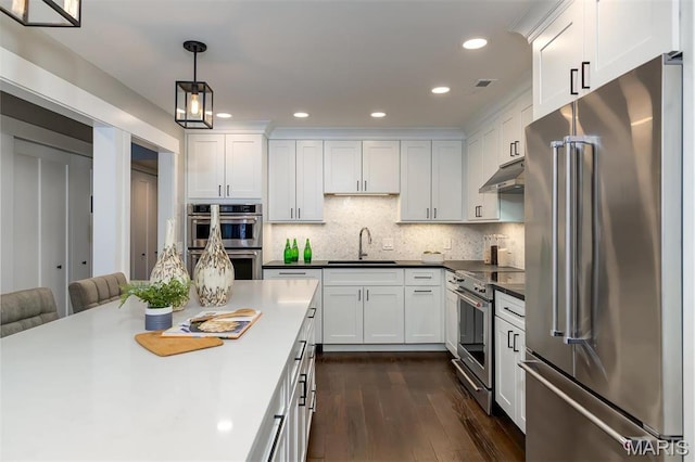 122 N Central Ave Unit A, Saint Louis, MO 63105 - kitchen with high end appliances, under cabinet range hood, a sink, dark wood-type flooring, and white cabinetry