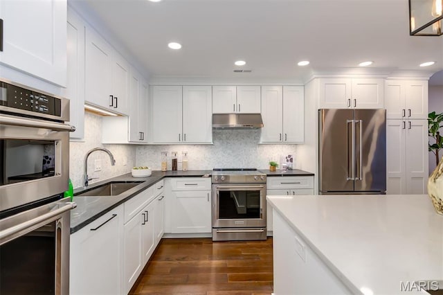 122 N Central Ave Unit A, Saint Louis, MO 63105 - kitchen with stainless steel appliances, under cabinet range hood, a sink, dark wood-style floors, and white cabinetry