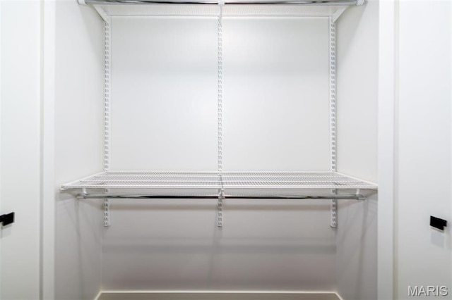 122 N Central Ave Unit A, Saint Louis, MO 63105 - view of spacious closet
