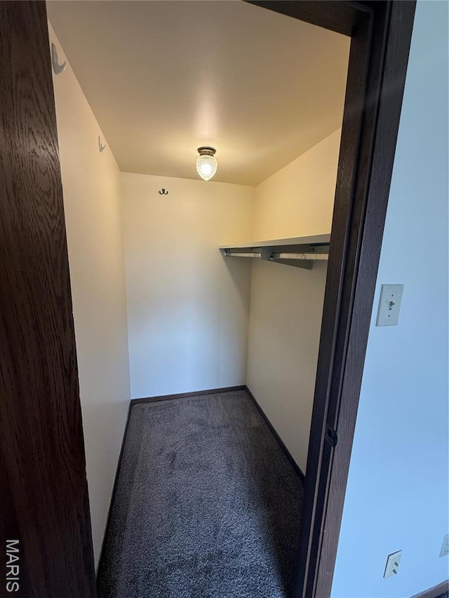 1530 Springlet Ct Unit 32, Florissant, MO 63033 - walk in closet with carpet floors