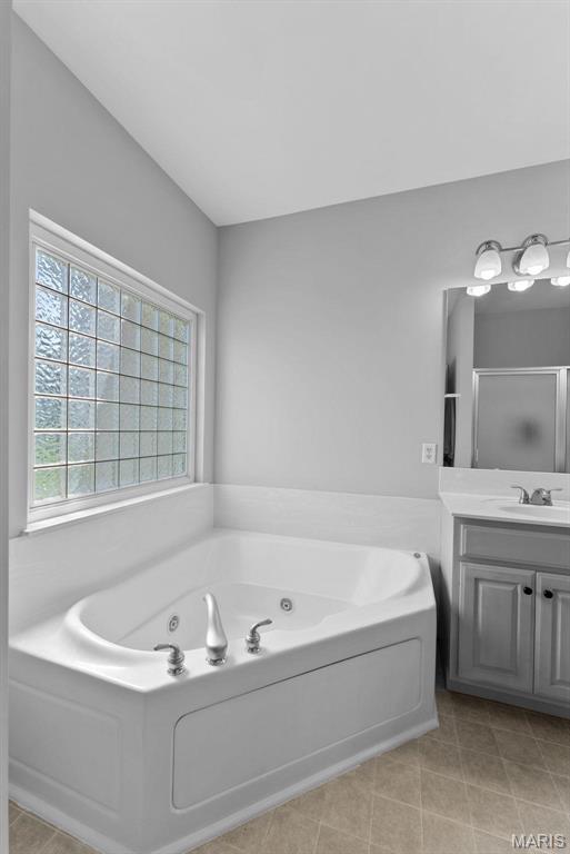 220 Cuivre Point Ln, Moscow Mills, MO 63362 - full bath featuring a jetted tub, vanity, and a shower stall
