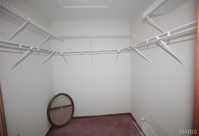 1340 Holgate Dr Unit F2, Ballwin, MO 63021 - walk in closet featuring carpet floors
