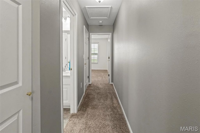 corridor with carpet and baseboards