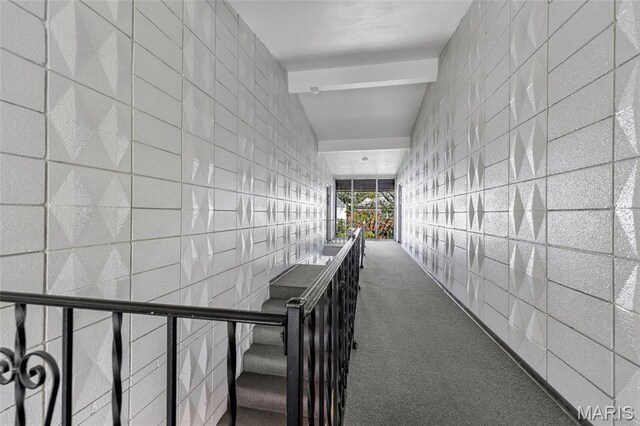 10457 Briarbend Dr Unit 8, Saint Louis, MO 63146 - corridor featuring tile walls and carpet flooring