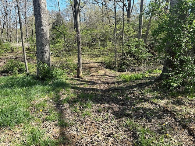 view of local wilderness