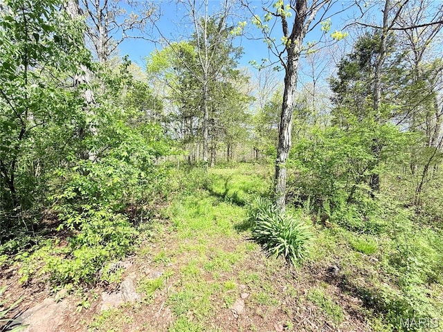 1175 County Road 206, Arcadia, MO 63621 - photo 9