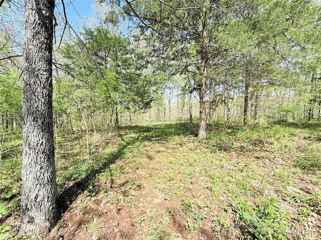 1175 County Road 206, Arcadia, MO 63621 - photo 10