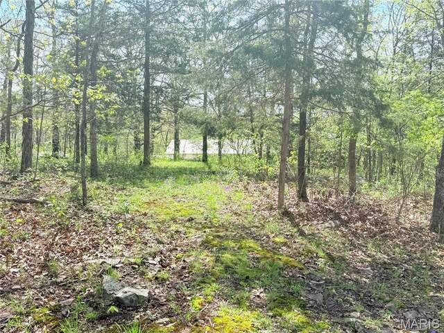 1175 County Road 206, Arcadia, MO 63621 - photo 11